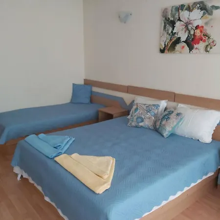 за гости русинови צרבו