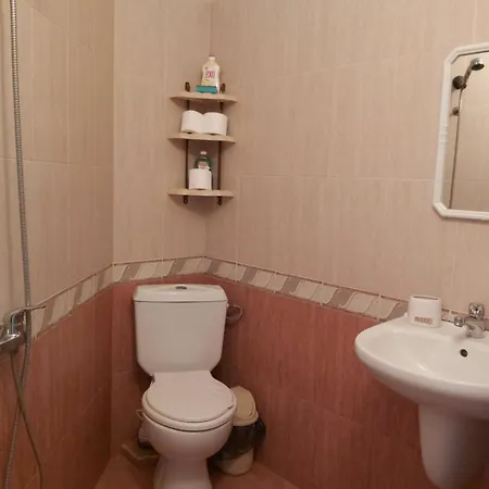 за гости русинови Carevo