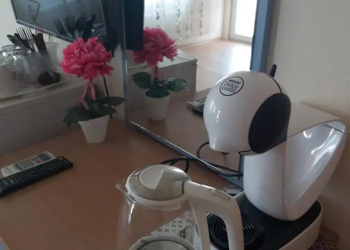 за гости русинови Gæstehus 3*